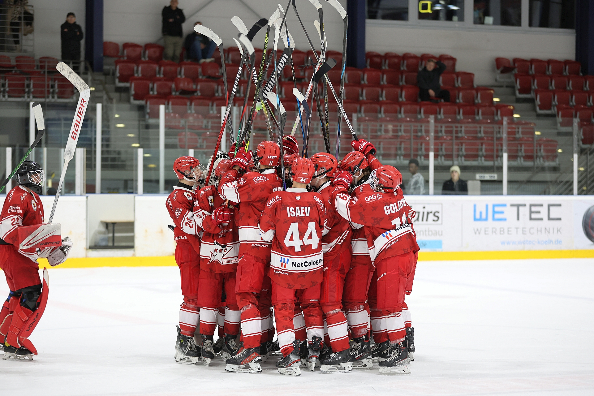 Junghaie schlagen Eisbären und Jungadler 